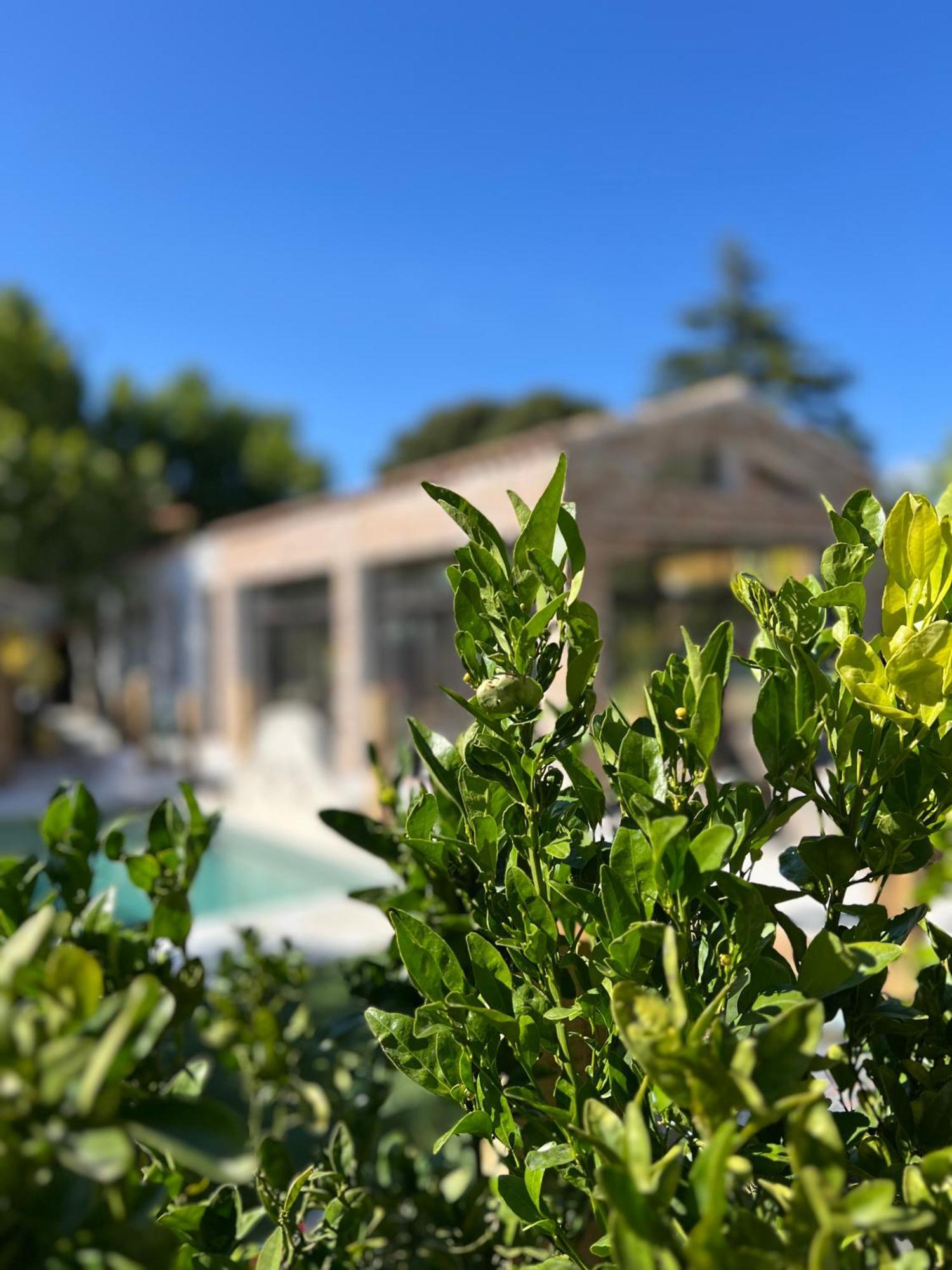 Maison Bagatelle Saint-Cyr-sur-Mer Extérieur photo